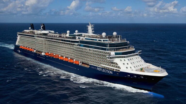 Celebrity Reflection