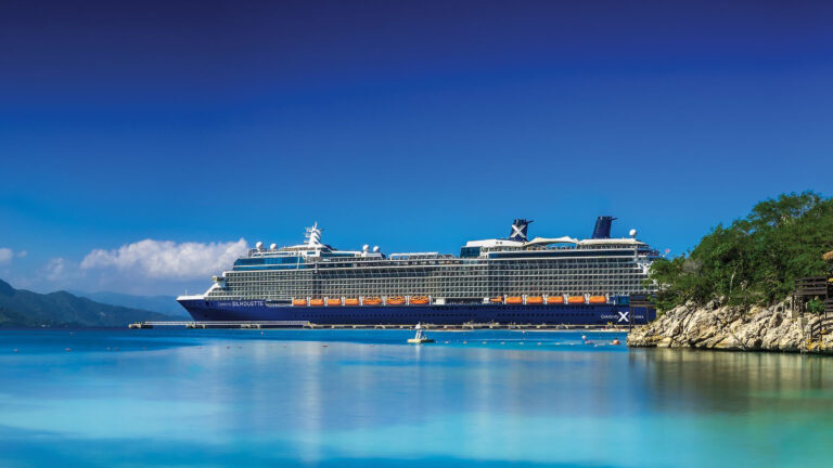 Celebrity Silhouette