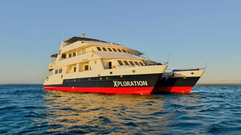 Celebrity Xploration