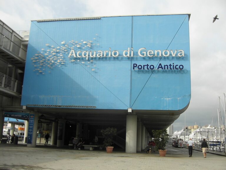 Acuario