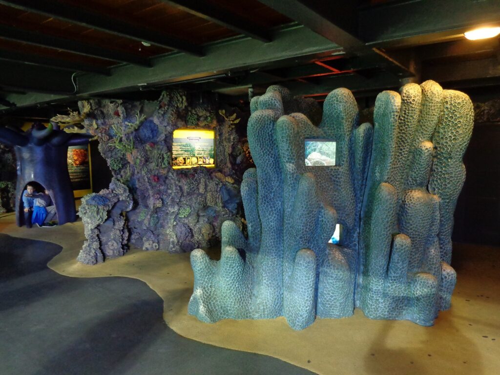 Acuario: La sala del arrecife de coral