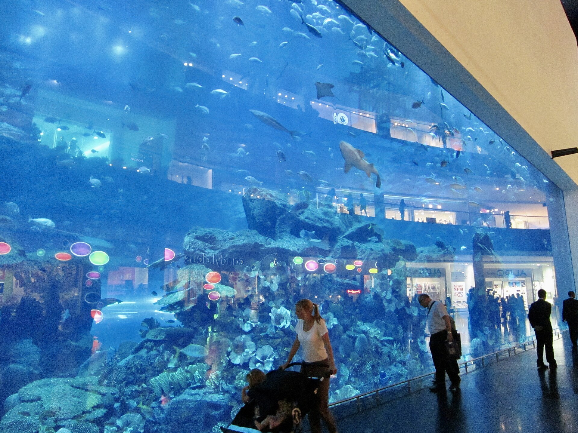 Dubai Mall: The Dubai Aquarium in the Dubai Mall