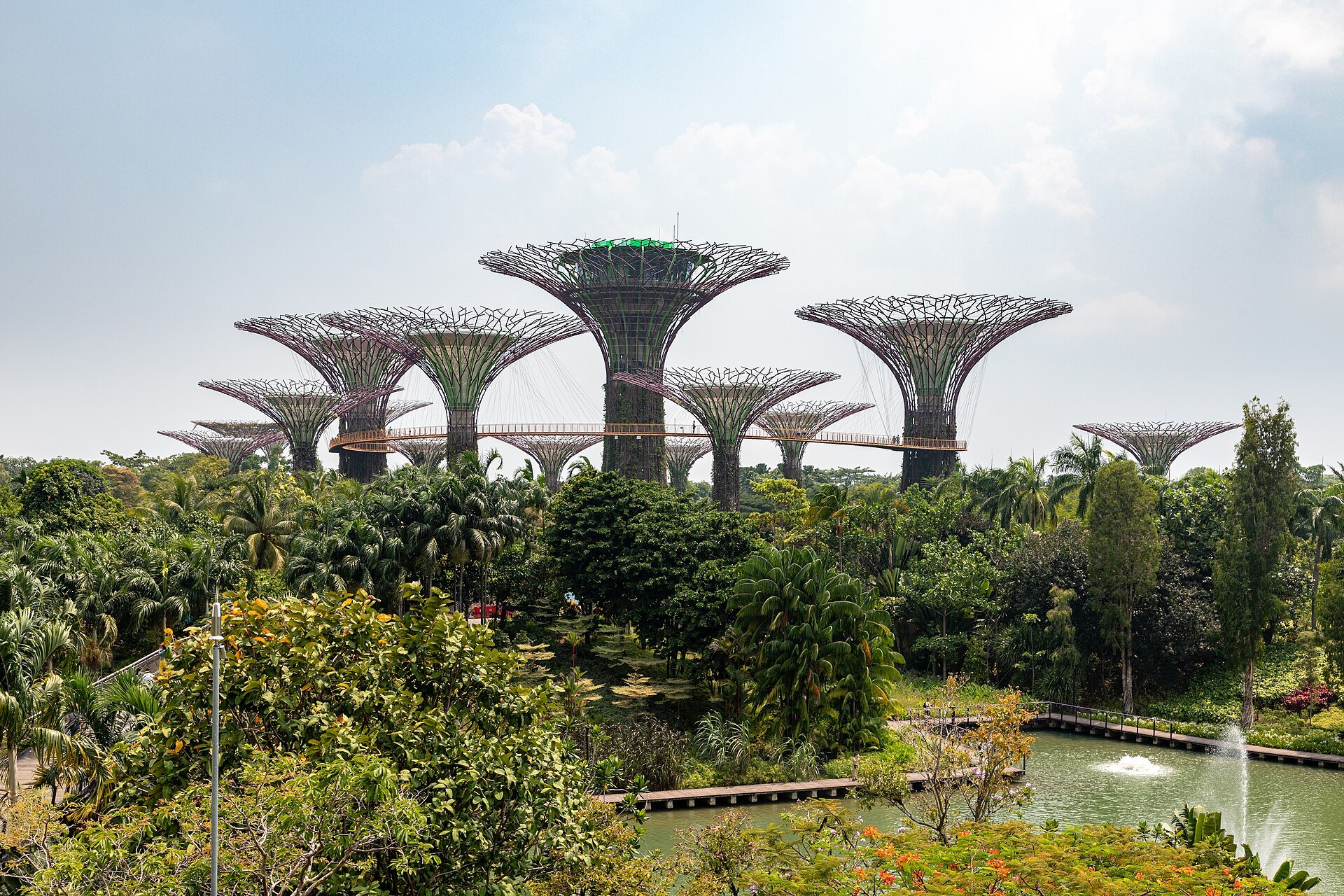 Gardens By de Bay: The Supertree Grove