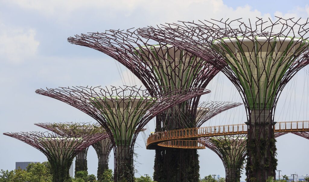 Gardens By de Bay: The OCBC Skyway between the Supertrees