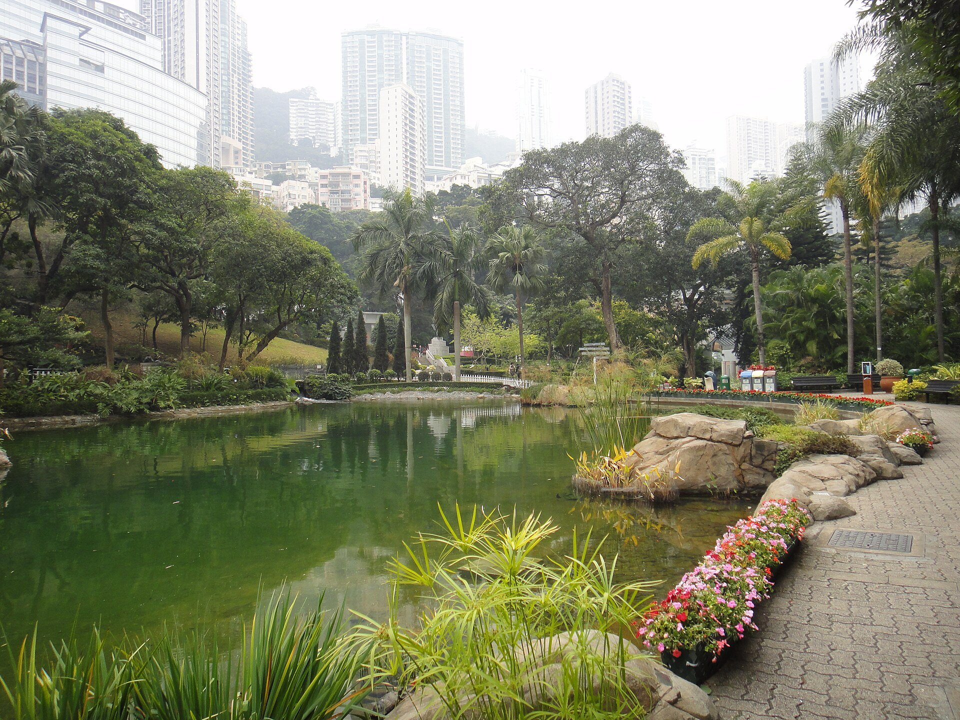 Hong Kong Park: The lake in Hong Kong Park