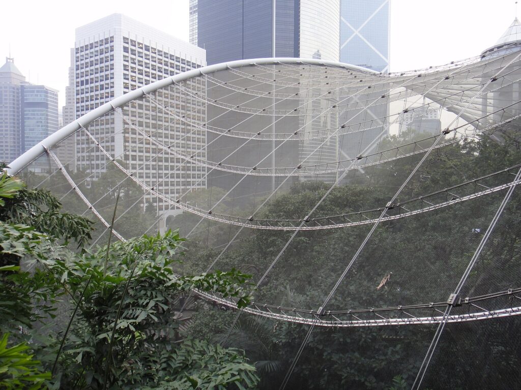 Hong Kong Park: The aviary's mesh roof