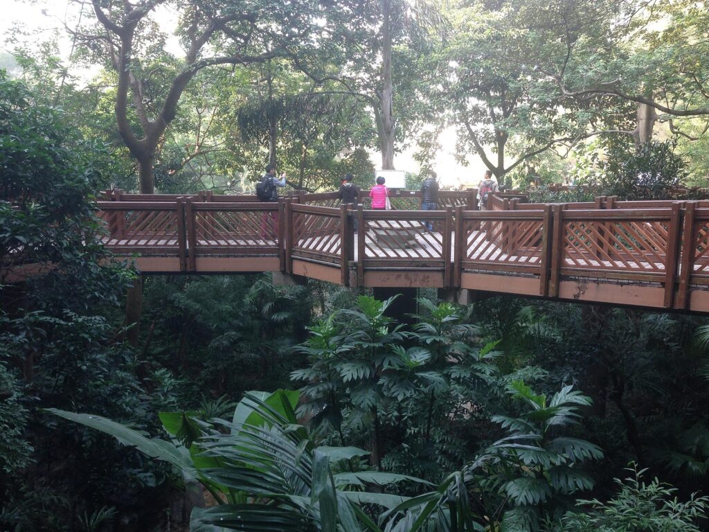Hong Kong Park: The Edward Youde Aviary walkway