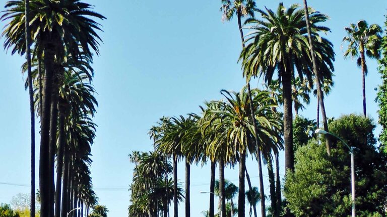 Sunset Boulevard