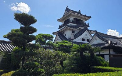 Kochi – Castillo y zona comercial