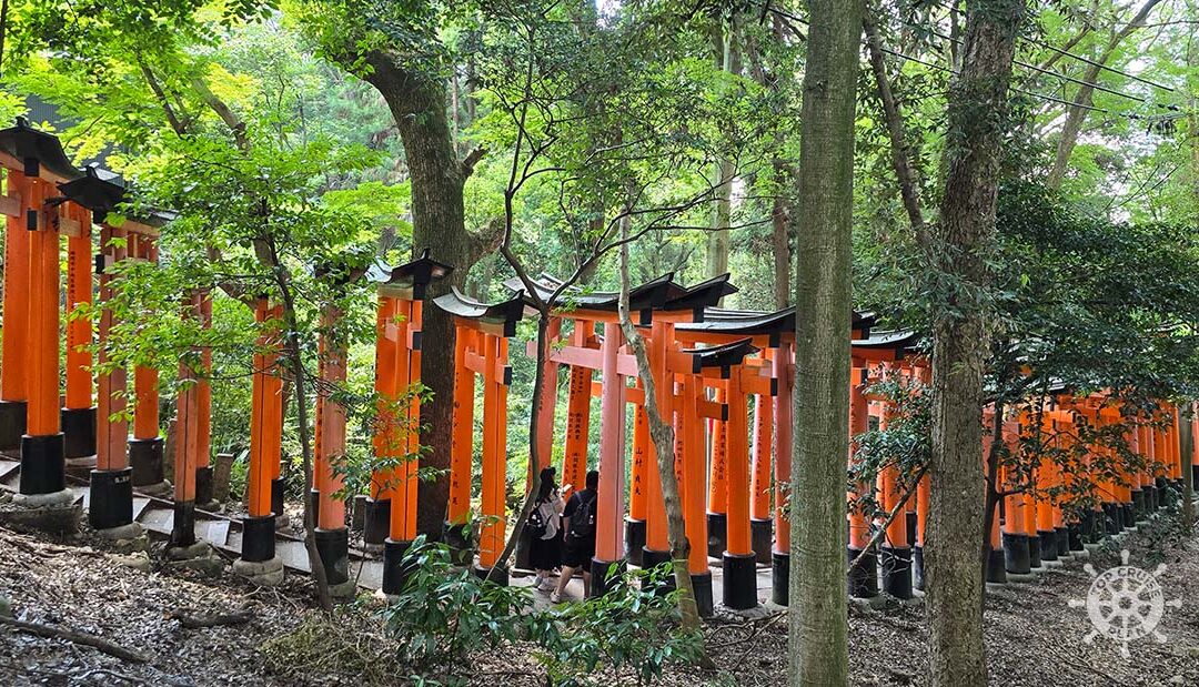 Kioto – Fushimi Inari-Taisha y Barrio de las Geishas