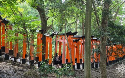 Kioto – Fushimi Inari-Taisha y Barrio de las Geishas