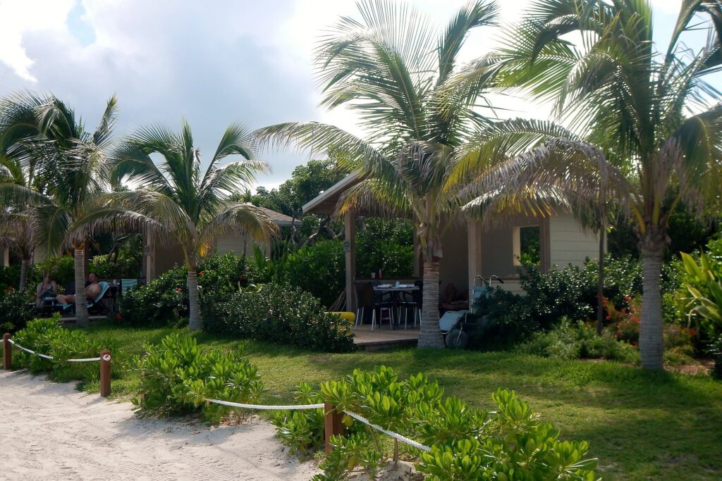 Great Stirrup Cay: Palmeras junto a la playa de Great Stirrup Cay